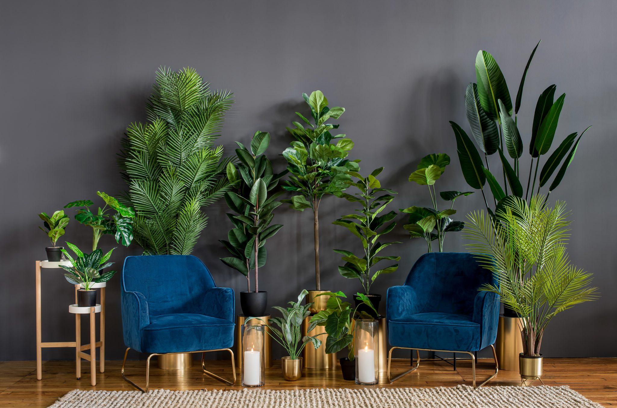 Artificial Plants & Flowers Danson Decor
